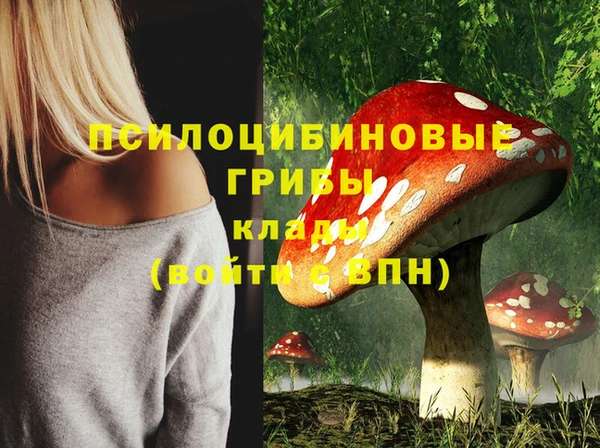метадон Костерёво
