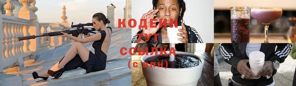 гашик Коряжма