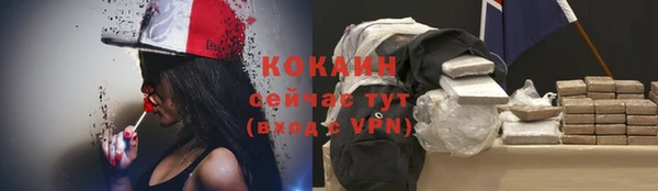 гашик Коряжма