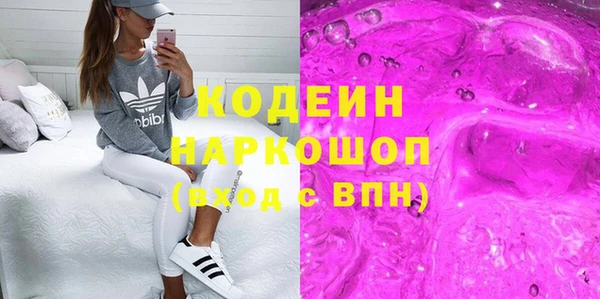 хмурый Корсаков