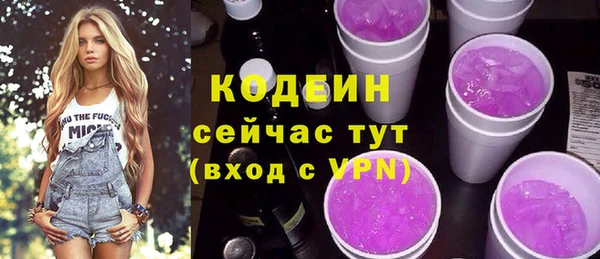 гашик Коряжма