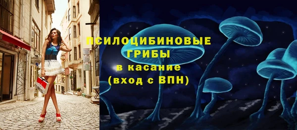 гашик Валдай