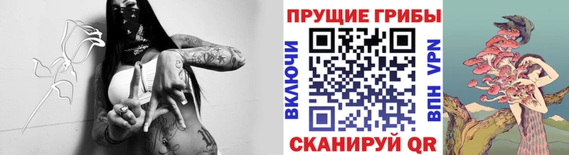 Галлюциногенные грибы прущие грибы  hydra   Курчатов 